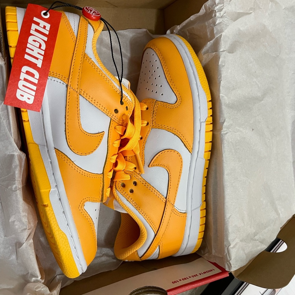 Brand new Nike dunks